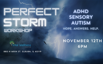 Perfect Storm Workshop