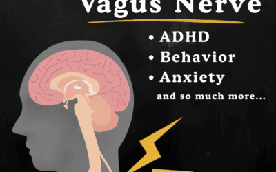 Vagus Nerve 101: A Parent’s Guide to Calming Anxiety, Improving Sleep & More